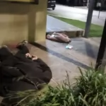 Lo detuvieron luego de asaltar a una mujer y robarle la mochila en plena calle